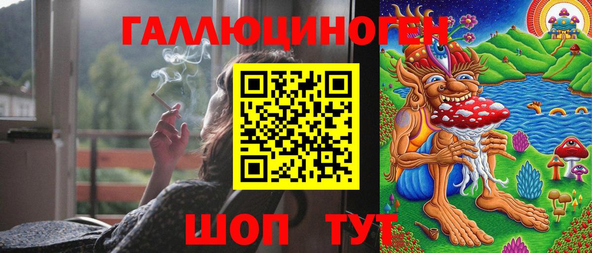 Псилоцибиновые грибы Psilocybine cubensis  Вход с VPN  Протвино 