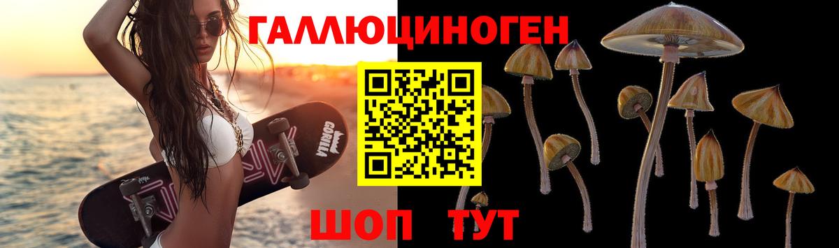 Галлюциногенные грибы мухоморы Протвино